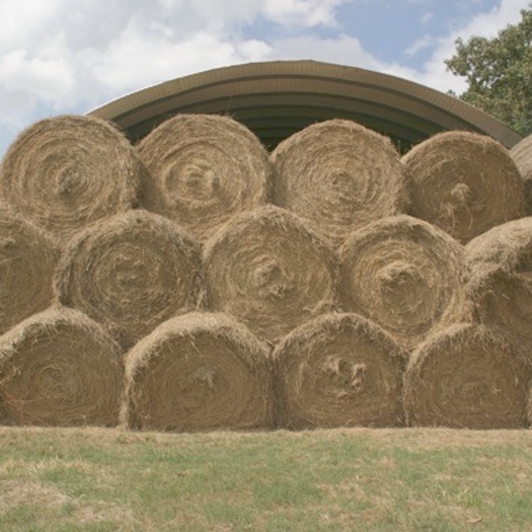 Telfair County's Kerry Knowles wins GFB Quality Hay Contest